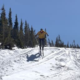 Emily Starr-Phillips